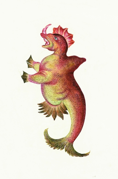 《海怪图记》中的奇幻生物